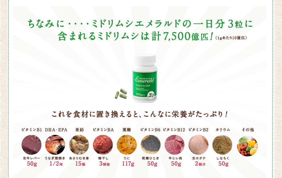 ミドリムシエメラルドの1日分3粒に含まれるミドリムシは計7,500億匹!(1gあたり10億匹)これを食材に置き換えると、こんなに栄養がたっぷり!ビタミンB1、DHA・EPA、亜鉛、ビタミンBA、葉酸、ビタミンB6、ビタミンB12、ビタミンB2、カリウム、その他