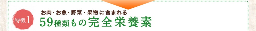 お肉・お魚・野菜・果物に含まれる59種類もの完全栄養素