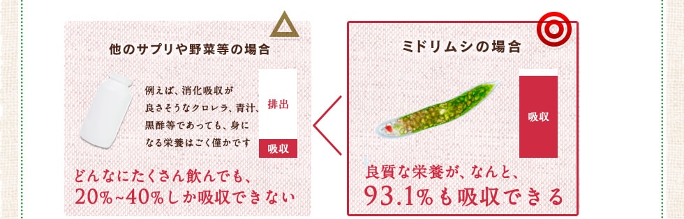 他のサプリや野菜等の場合。たとえば、消化吸収が良さそうなクロレラ、青汁、黒酢等であっても、身になる栄養はごく僅かです。どんなにたくさん飲んでも、20%〜40%しか吸収できない。ミドリムシの場合、良質な栄養が、なんと、93.1%も吸収できる