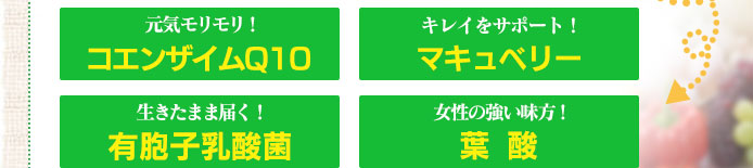 話題の美容成分4種をたっぷりプラス!マキュベリー・コエンザイムQ10・有胞子乳酸菌・葉酸