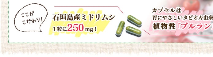 石垣島産ミドリムシ1粒に250mg!カプセルはタピオカ由来の植物性「プルラン」を使用