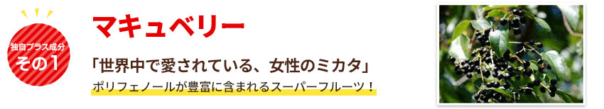 マキュベリー「抗酸化力アップを促しさびない体に」ポリフェノールが豊富に含まれるスーパーフルーツ!