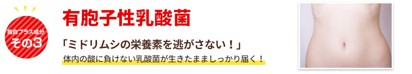 有胞子性乳酸菌「ミドリムシの吸収力UPを促す」体内の酸に負けない乳酸菌が生きたまましっかり届く!
