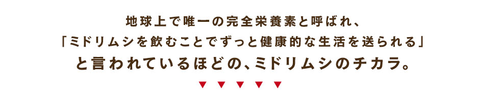 神秘的なチカラをもつミドリムシ。ミドリムシがイキイキとした明るい日々をサポートします!